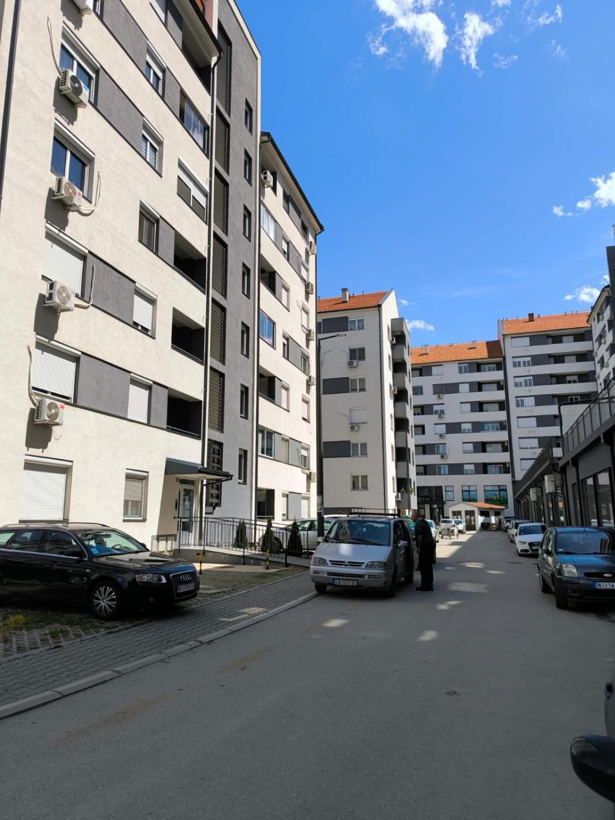 Apartman Zivic Ni المظهر الخارجي الصورة