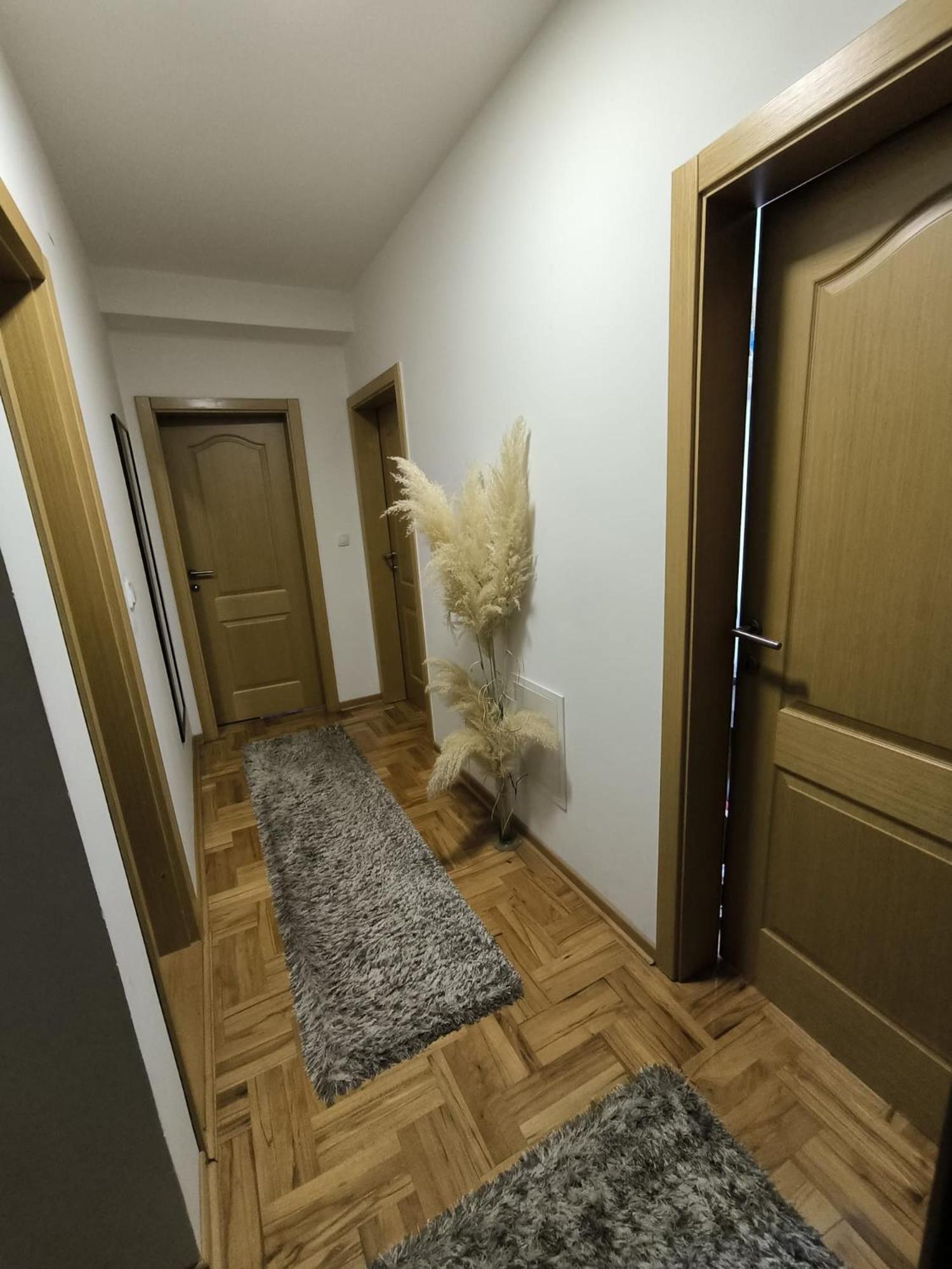 Apartman Zivic Ni المظهر الخارجي الصورة